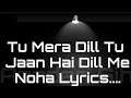 Aqa e maan mola e maan noha  lyrics  azadari sihin