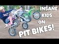 INSANE KIDS ON PIT BIKES