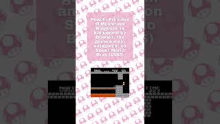 The Princess Who Stole Our Hearts: Remembering Princess Peach's First Appearance #shorts #nes