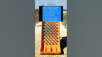 Betrapt op valsspelen? 😭 #tekst #itekst