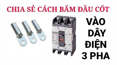 Hướng dẫn cách bấm đầu cốt vào dây điện 3 pha để đấu vào APTOMAT