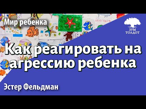 Урок для женщин. Как реагировать на агрессию ребенка. Эстер Фельдман