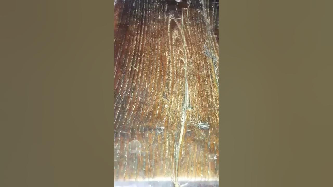 how to make orbeez at home YouTube