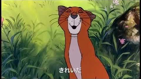 「おしゃれキャット」予告編