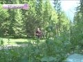 Foresta di Cajada - Parco Nazionale Dolomiti Bellunesi