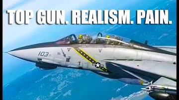 From Top Gun to DCS: How Heatblur Nailed the F-14 Experience #dcs #tomcat