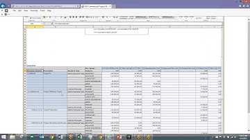 SAP Commercial Project Management Day in the Life