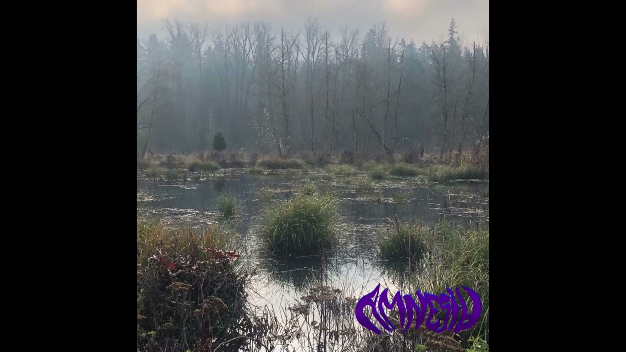 AMNESIA - Side Quests (Full Album 2024)