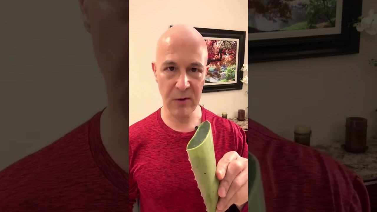 Aloe Vera Can Make Your Colon Happy Dr Mandell