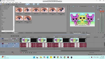 How To Make Center Effects On Sony Vegas Pro 9.0