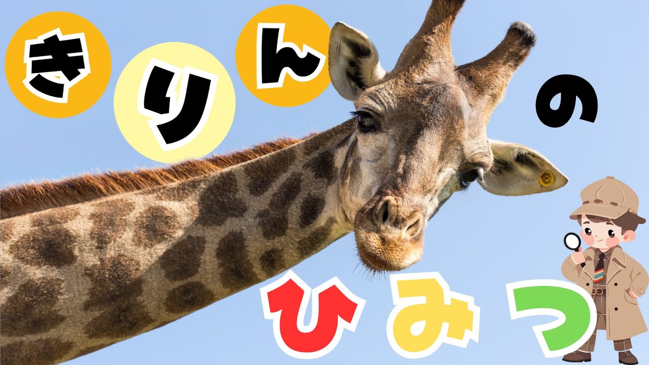 うごくずかん！】きりんのひみつ 知育|教育|幼児|子ども|ことばの勉強