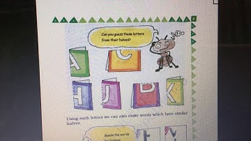 Mirror halves chapter 1 maths ncert class 3