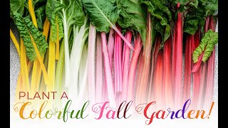 GROW RARE SEEDS | Plant a Rainbow in the Fall Garden