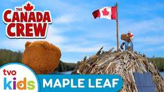 Maple Leaf π | π« CANADA CREW 𦫠| π Learn About Canada & Canadians: Flag, Maple Syrup π¨π¦ | TVOkids
