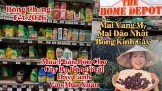 Home Depot Phân Tốt Bón Cho Cây Ra Bông Vào Mùa Xuân, Mai Đào Nhật, Mai Mỹ Chưng Tết