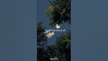أفلا يتوبون إلى الله ويستغفرونه والله غفور رحيم | من سورة المائدة | عبد الرحمن مسعد