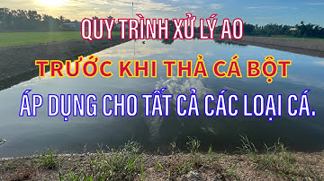 HƯỚNG DẪN QUY TRÌNH XỬ LÝ AO TRƯỚC KHI THẢ CÁ BỘT - ÁP DỤNG CHO TẤT CẢ LOẠI CÁ.