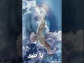 فيروز فيروزيات الصباح والمساء Fairuz يا طير يا طاير على طراف الدني 