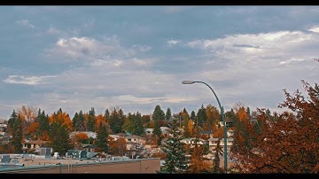 GH4 Supertone vs Cine D