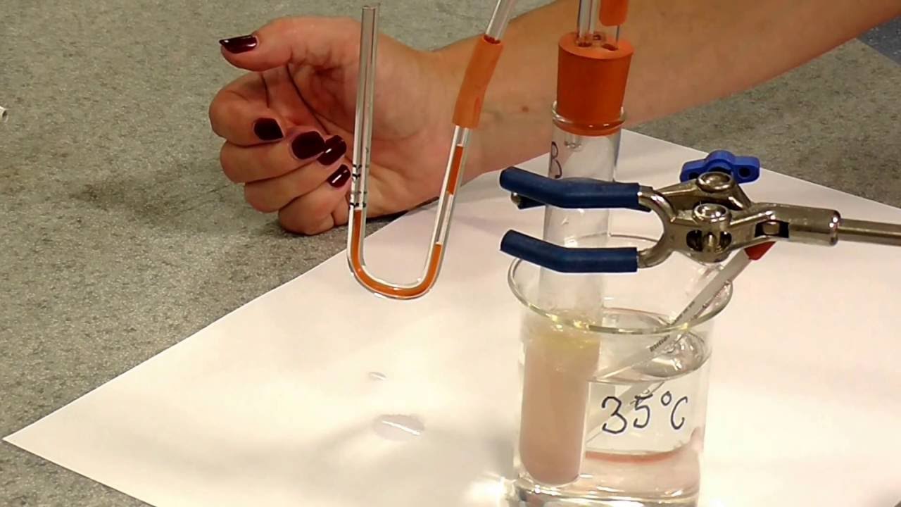 Rate of Respiration in Yeast 