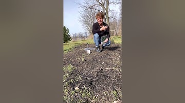 Soil Testing 101