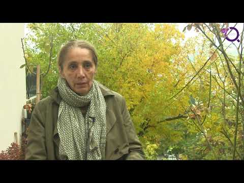 ნატა ფერაძე