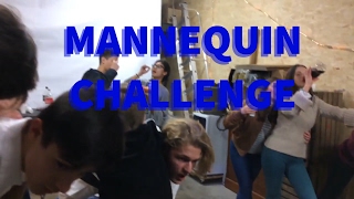 MANNEQUIN CHALLENGE by DavLin with Erasmus+ students