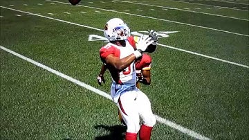 Madden 16 More Issues Tandem Animations WR / DB Interactions Brought Into The Game