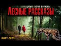 ЛЕСНЫЕ РАССКАЗЫ | Страшные истории