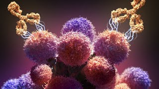 How Monoclonal Antibodies Treat Cancer #cancer #monoclonalantibodies