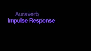 Capturing Your Favorite Reverb via Impulse Response