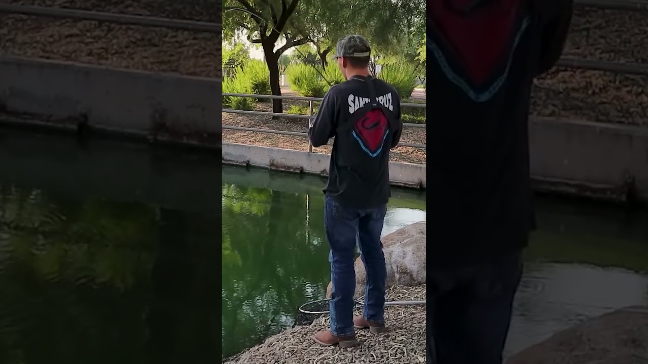 I Fished A Puddle...