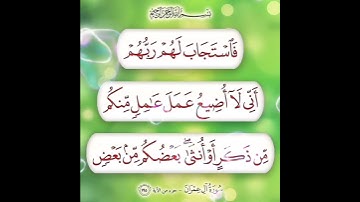 سورة آل عمران الآية ( 195 )