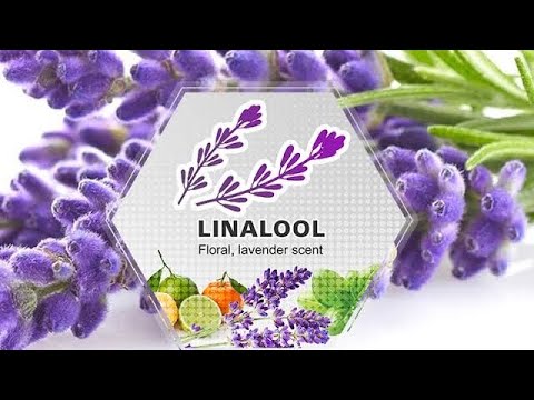 Video: Bevat parfuum linalool?