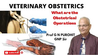 Stunning Results From the Latest Obstetrical Operations on Domestic Animals!