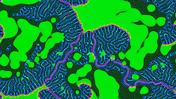 Multiple Neighborhoods Cellular Automata