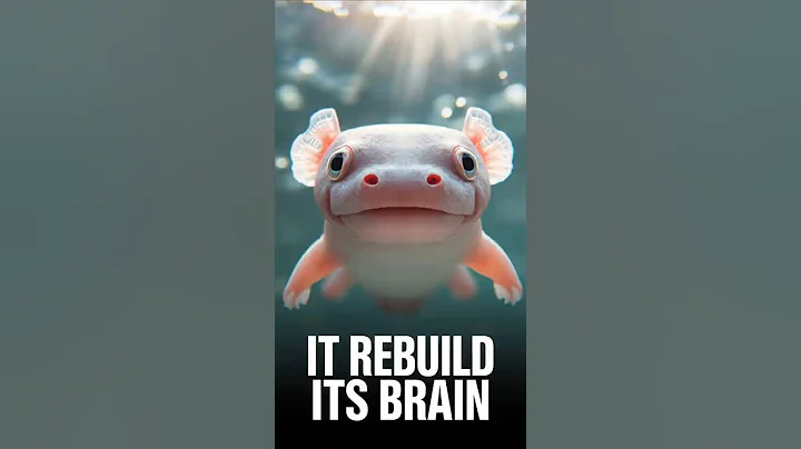 “This Animal Can Rebuild Its Brain — And It Never Grows Up (Scientists Shocked)”