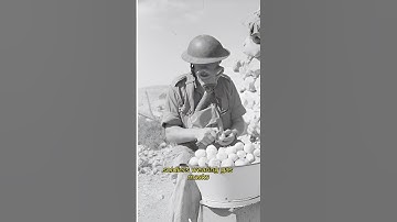 Historical Photos that you need to see. Part 27📸😱