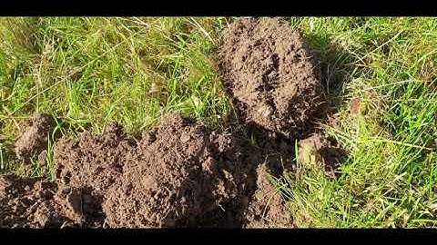 SP24 depth. Look what it can do on 2.77!