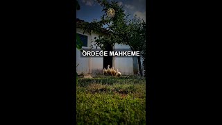 300 Yıllık Ördek Davası Bugün Hâlâ Geçerli