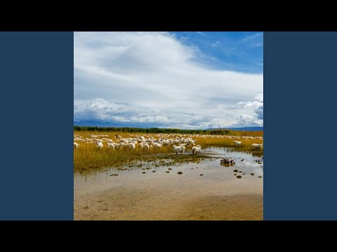Tonton 花儿大专 di YouTube