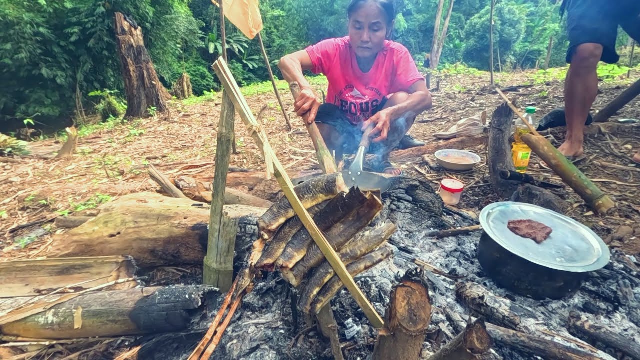 EP2.2. ใช้ชีวิตในป่า หาล่าเนื้อป่ามากินเป็นอาหารเดินทางเข้าสู่￼ไร่กลางป่า