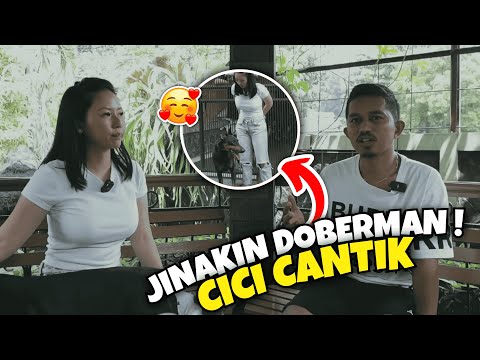 ANJING PENJAGA DARI CANADA KEPUNYAAN CICI CANTIK ‼️