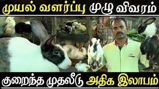 muyal valarpu in tamil | Rabbit farming complete guide | cage | food | care