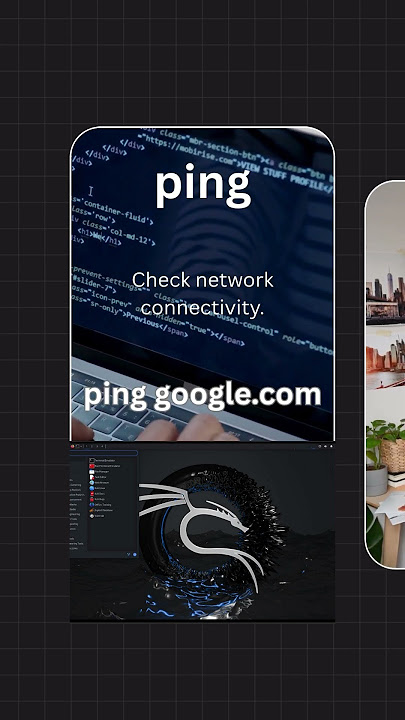 Kali Linux Command #18: ping 🌐 #Shorts
