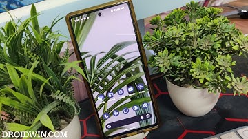 How to Remove At a Glance Widget from Pixel Home Screen [Without Root]