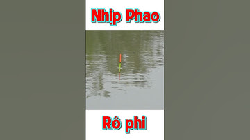 Câu cá Rô Phi mùa đông #cauca #câucárôphi #caucatunhien