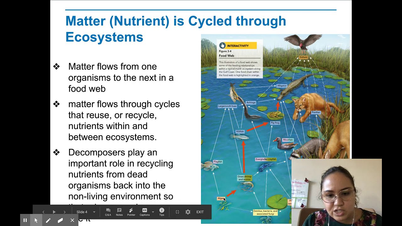 Ch3 3 Cycles Of Matter YouTube ch3-3-cycles-of-matter-youtube
