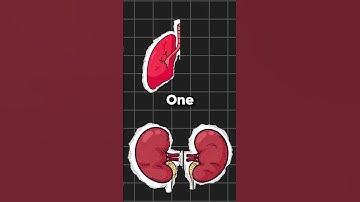 How MANY Organs could you LOSE?
