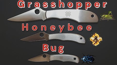 Spyderco Grasshopper, Honeybee & Bug - Overview/ Review